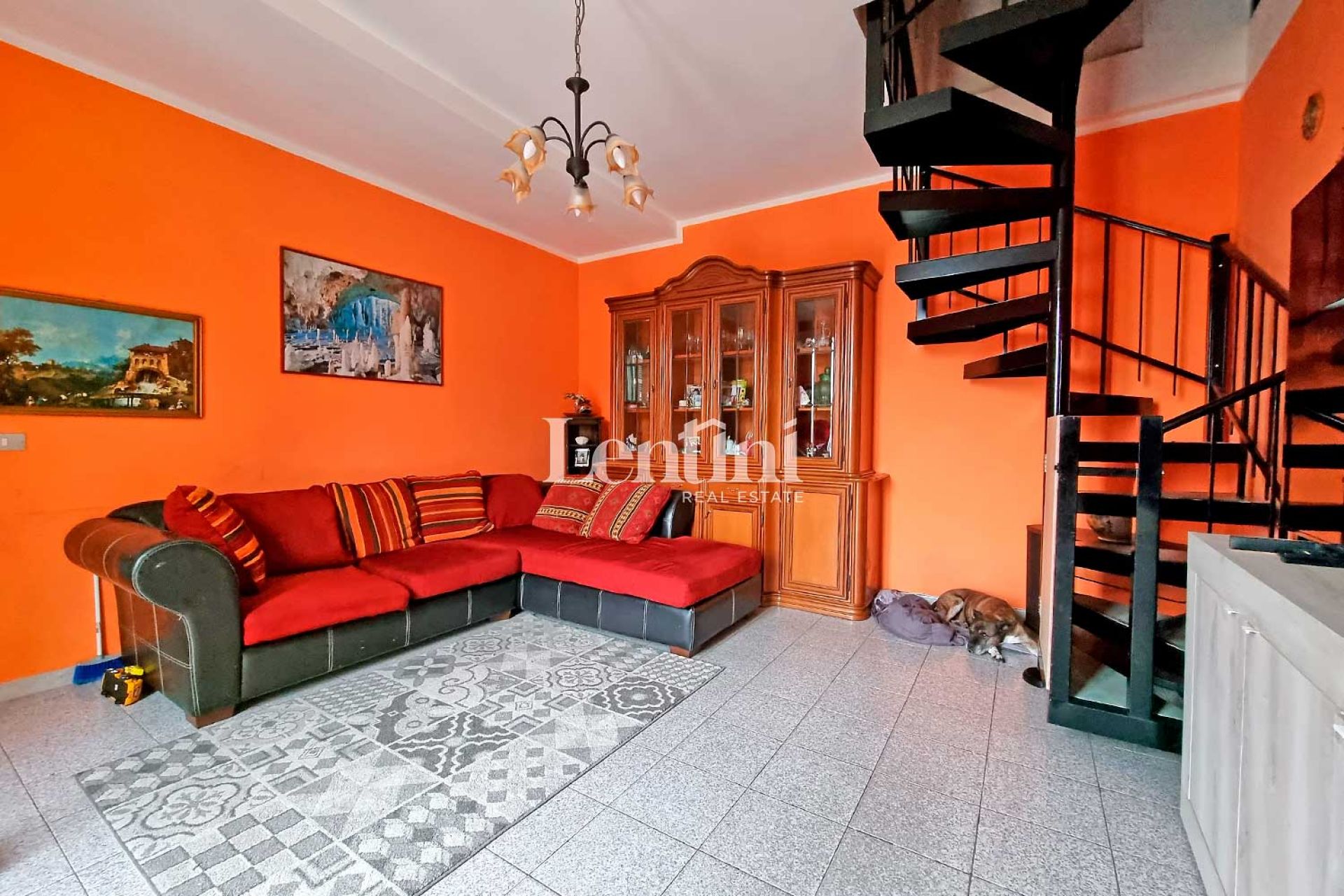 immagine annuncio 5 di 12