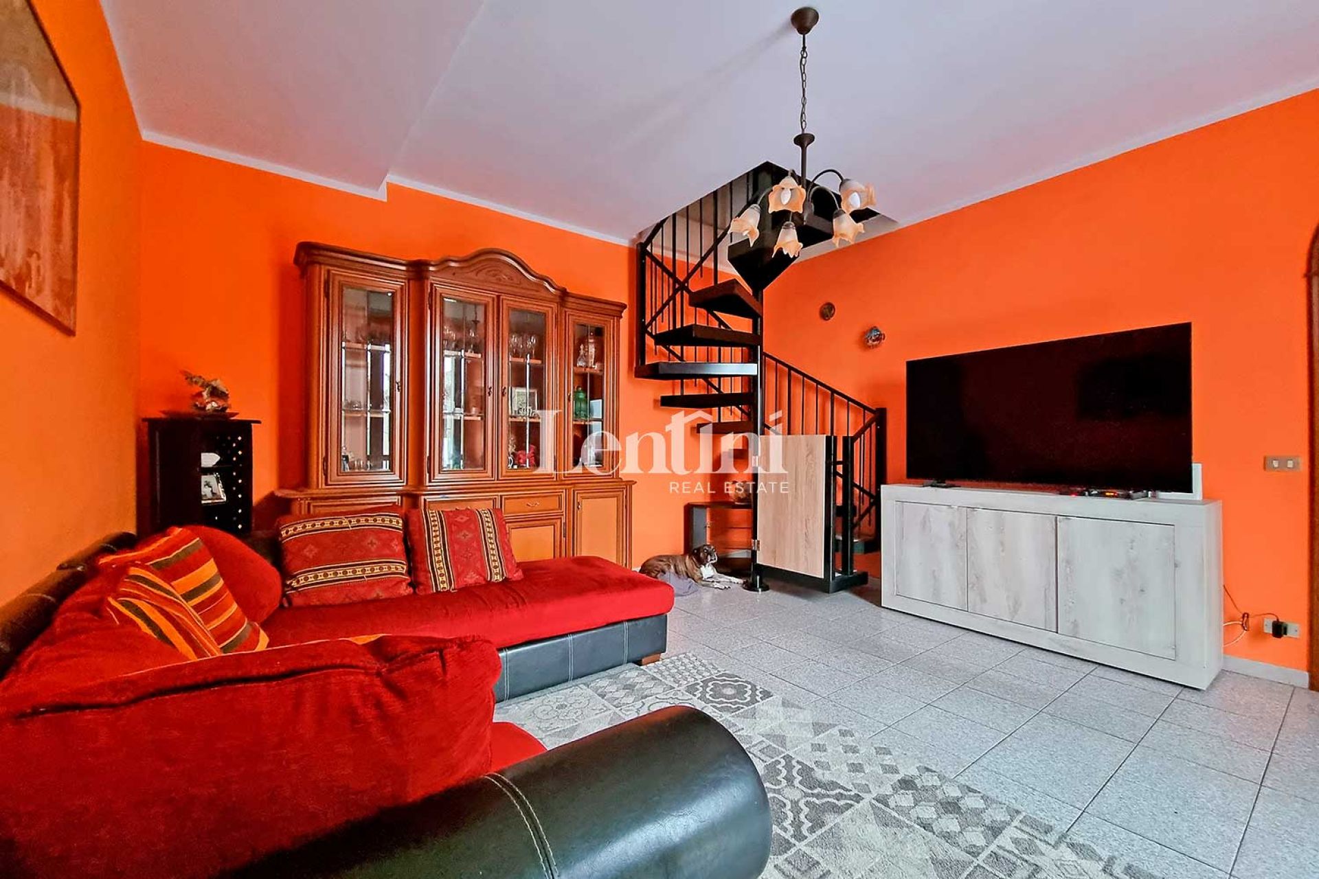 immagine annuncio 6 di 12