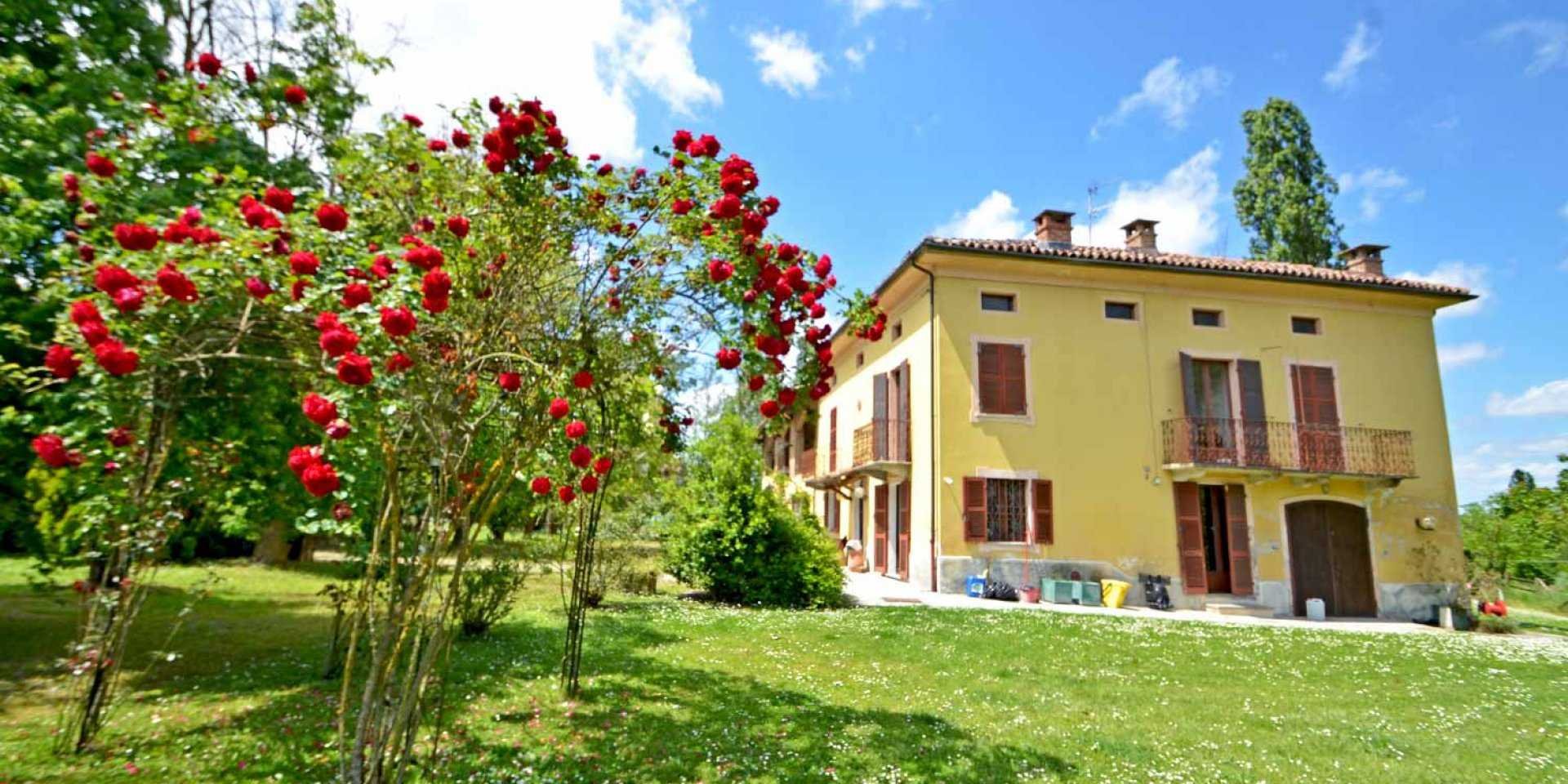 Main Home