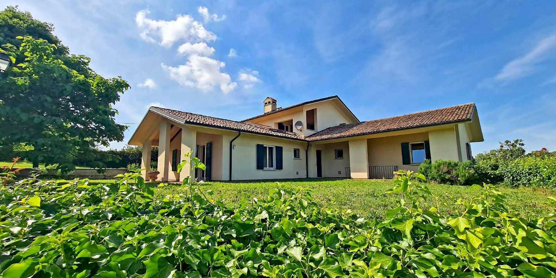 Main Home